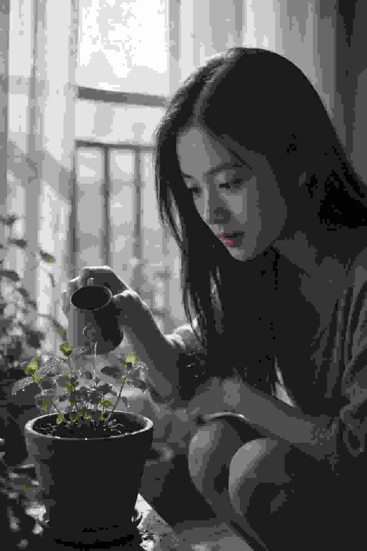 青春绽放